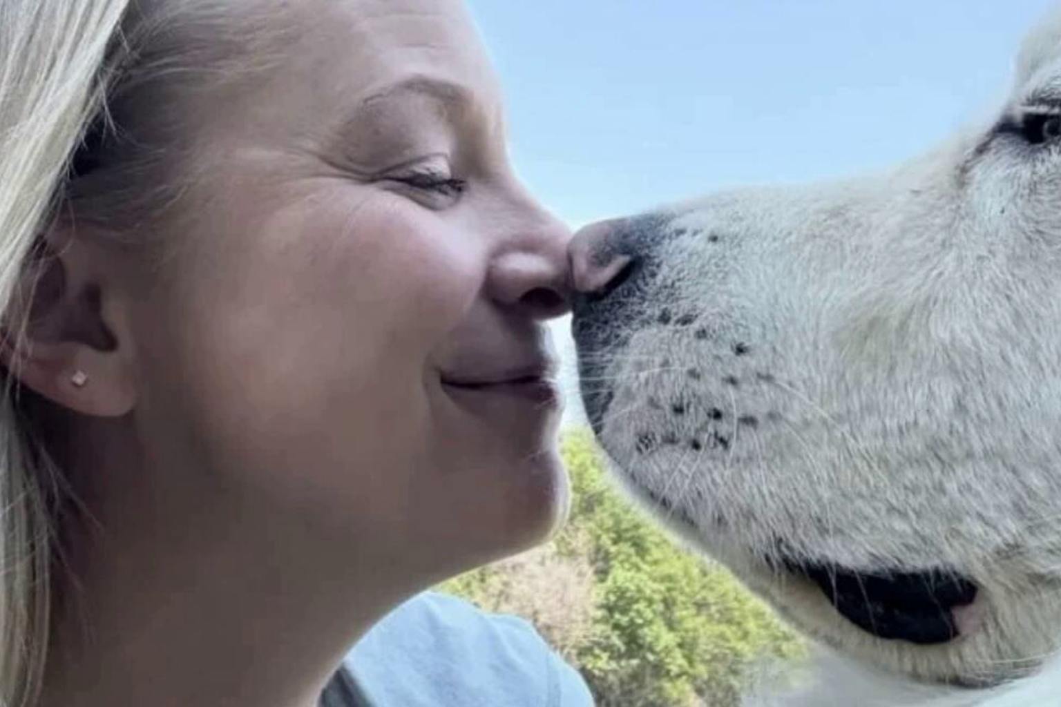 A Pyrenean shepherd dog escapes at midnight and travels 5 miles to eat the breakfast of his dreams