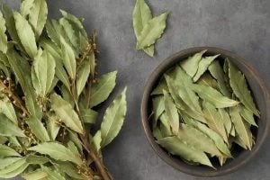 According to Feng Shui, this is the best spot for bay leaves to draw abundance