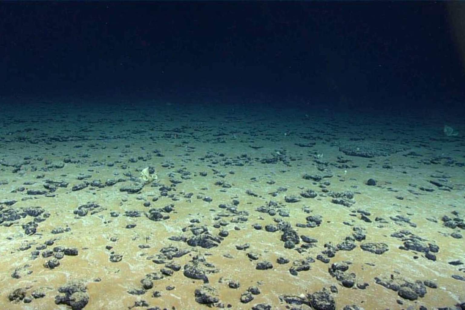 Europe unveils the largest treasure ever found beneath the ocean with nearly 45,000 tons extracted annually