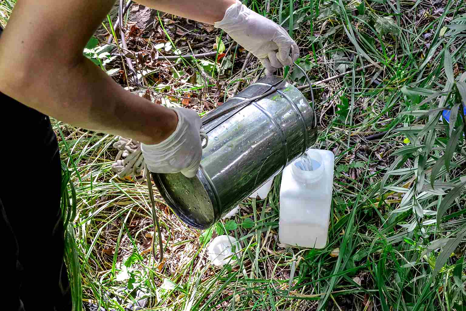 My homemade recipe for a powerful, affordable, and radical weed killer