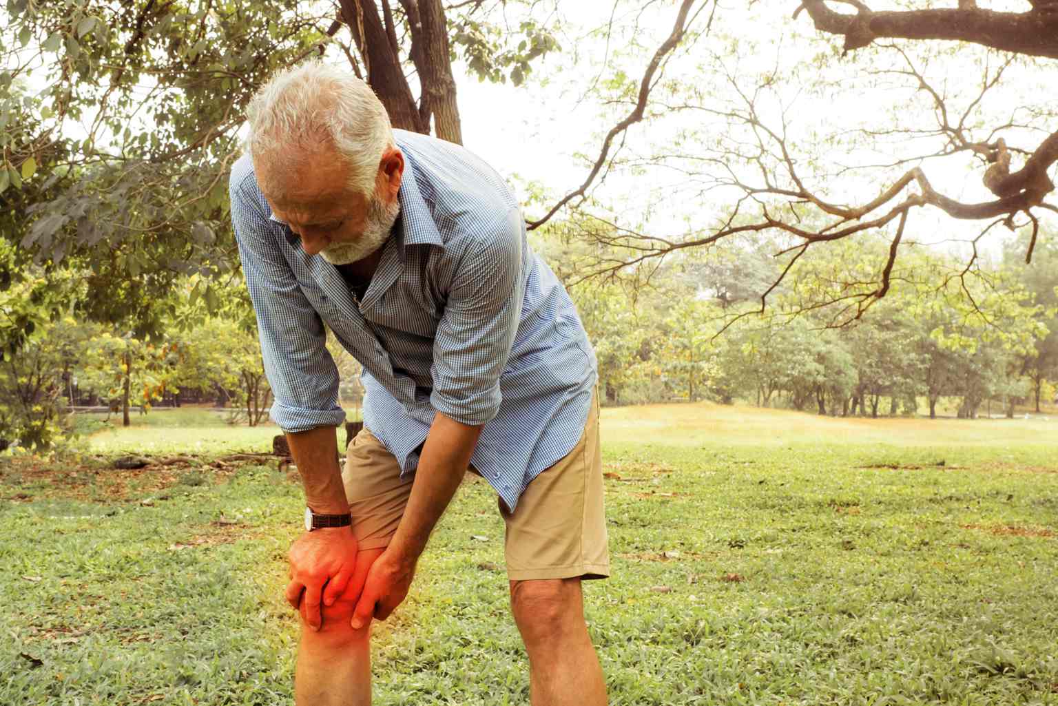 Neither Pilates nor swimming : the best low-impact activity for people over 60 with knee problems