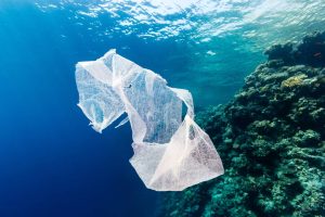 New study shows laws banning plastic bags cut their use by up to 47 percent