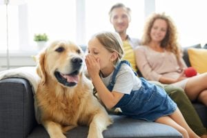 Why we talk to our pets as if they’re human, according to psychology