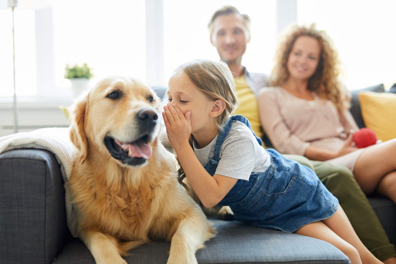 Why we talk to our pets as if they’re human, according to psychology