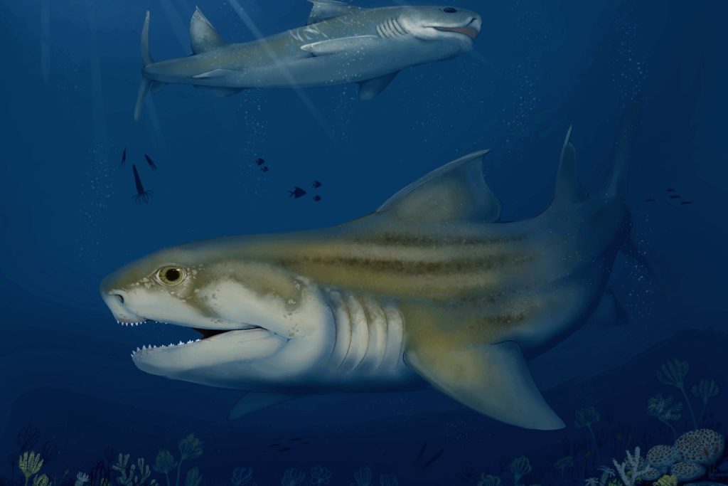 World’s largest cave yields two prehistoric sea monsters hidden for 325 million years