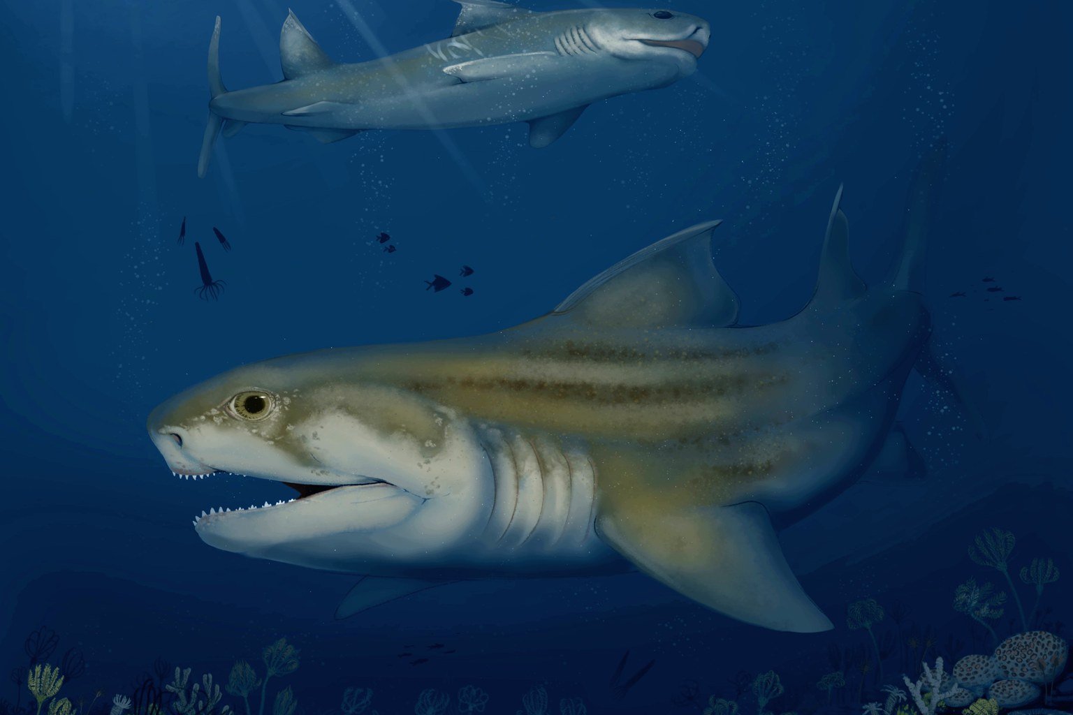 World’s largest cave yields two prehistoric sea monsters hidden for 325 million years