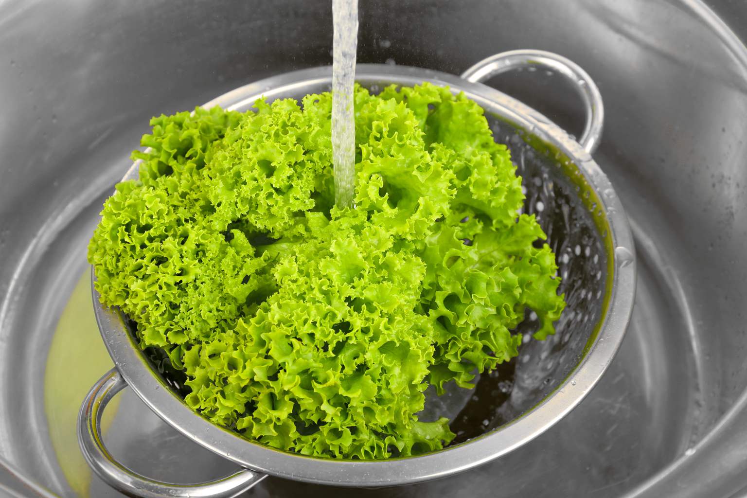 Experts reveal how to wash salad properly to remove bacteria and pesticides, and hidden critters — a simple must-do step for fresh greens