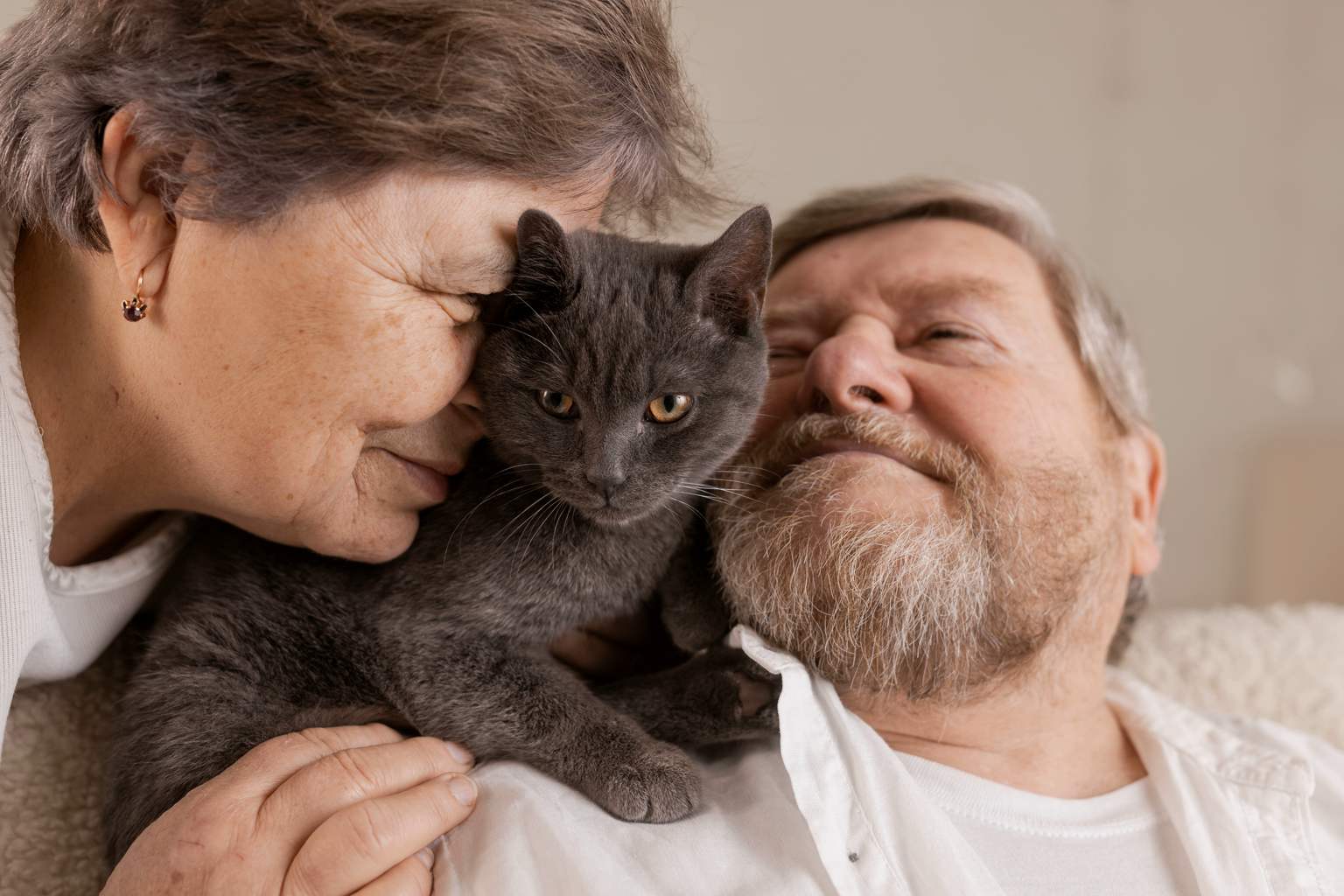 Living with a cat or dog can slow the aging of the human brain
