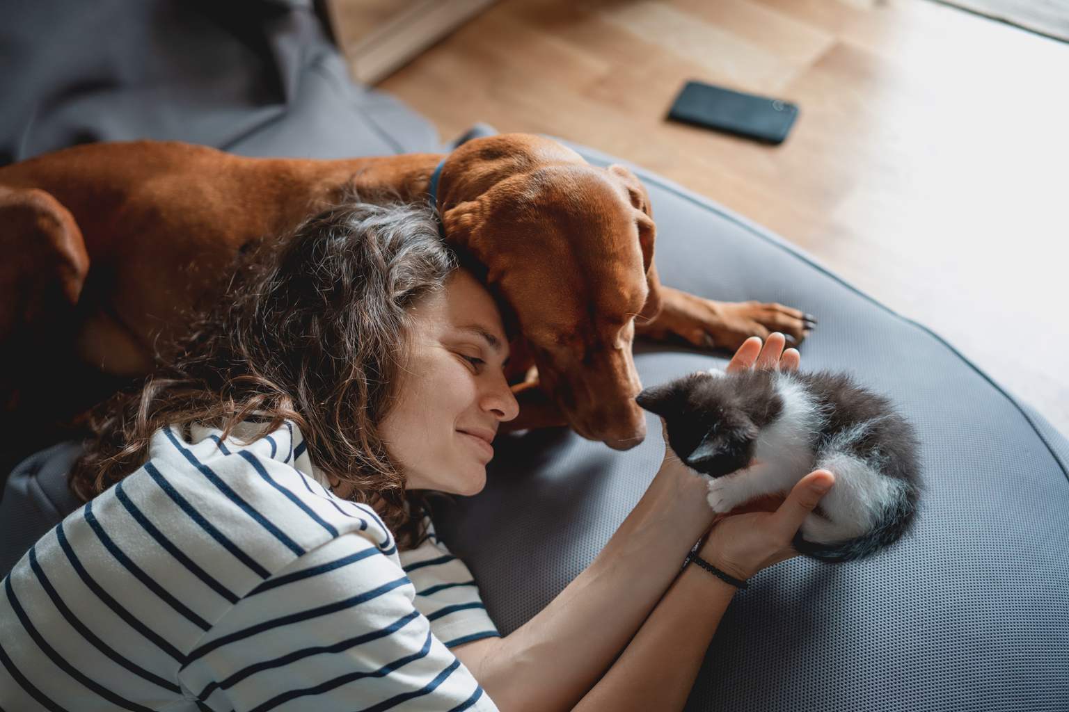 Neither dog nor canary: the best pet to reduce stress after age 65