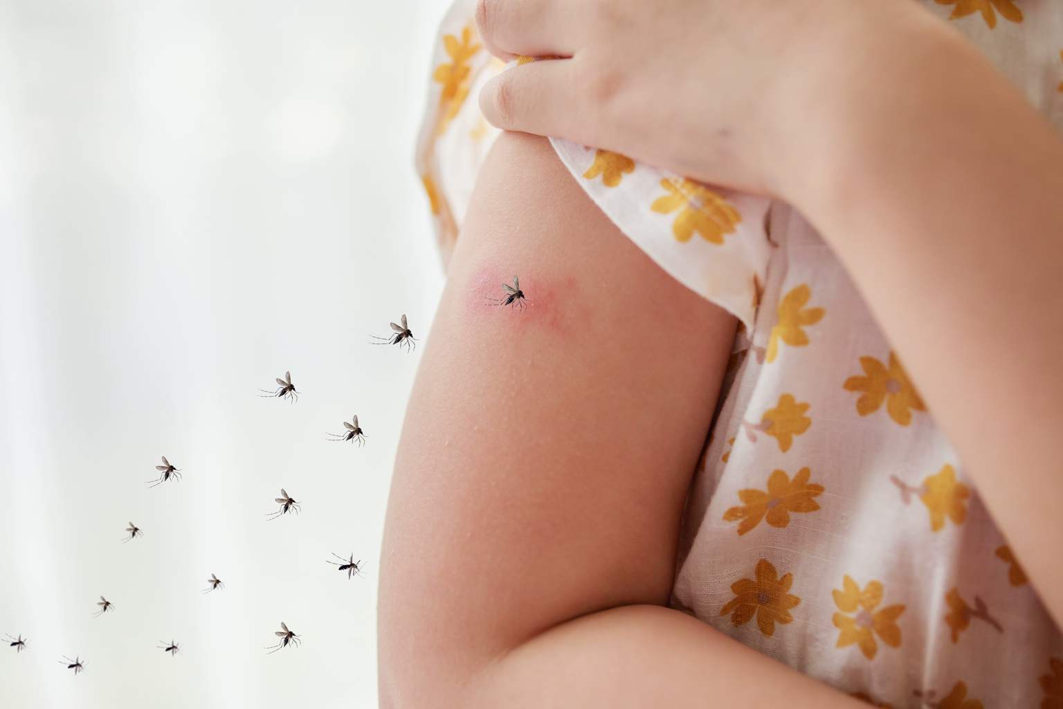 Neither plugs nor sprays: the simple trick to avoid mosquito bites this summer