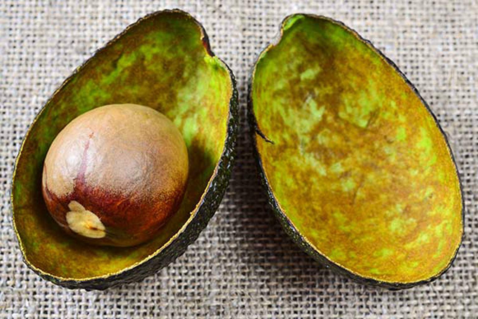 Reuse avocado peels to turn them into a treasure with these 3 ideas