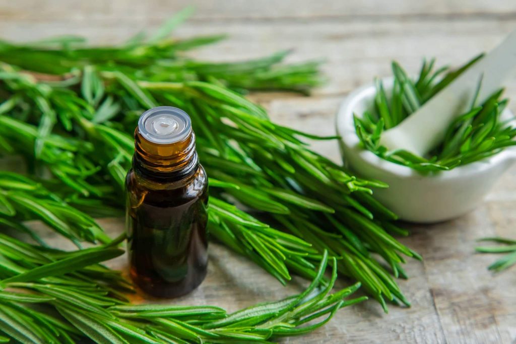 The surprising benefits of rosemary and baking soda when used together