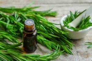 The surprising benefits of rosemary and baking soda when used together