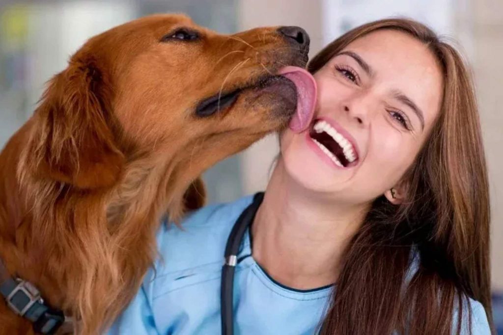 What it really means when your dog follows you everywhere – insights from dog psychology and expert tips