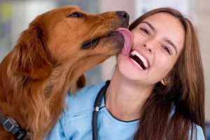 What it really means when your dog follows you everywhere – insights from dog psychology and expert tips