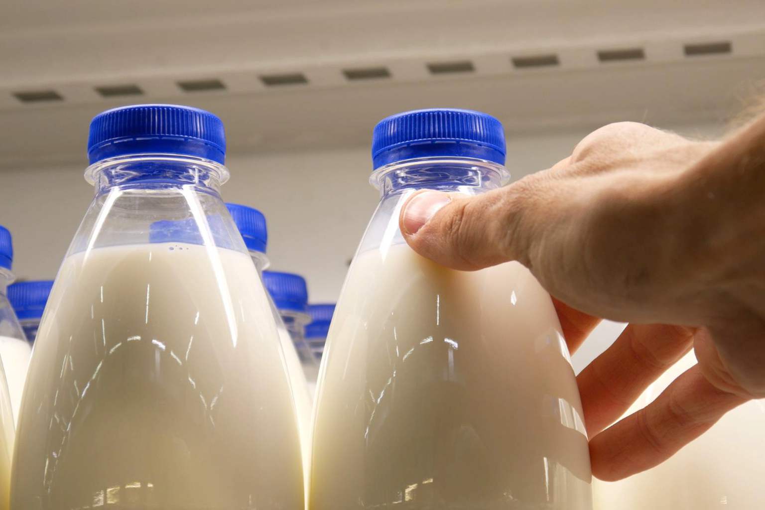 What’s the best milk for people with diabetes? Why oat and soy might not be the right choice