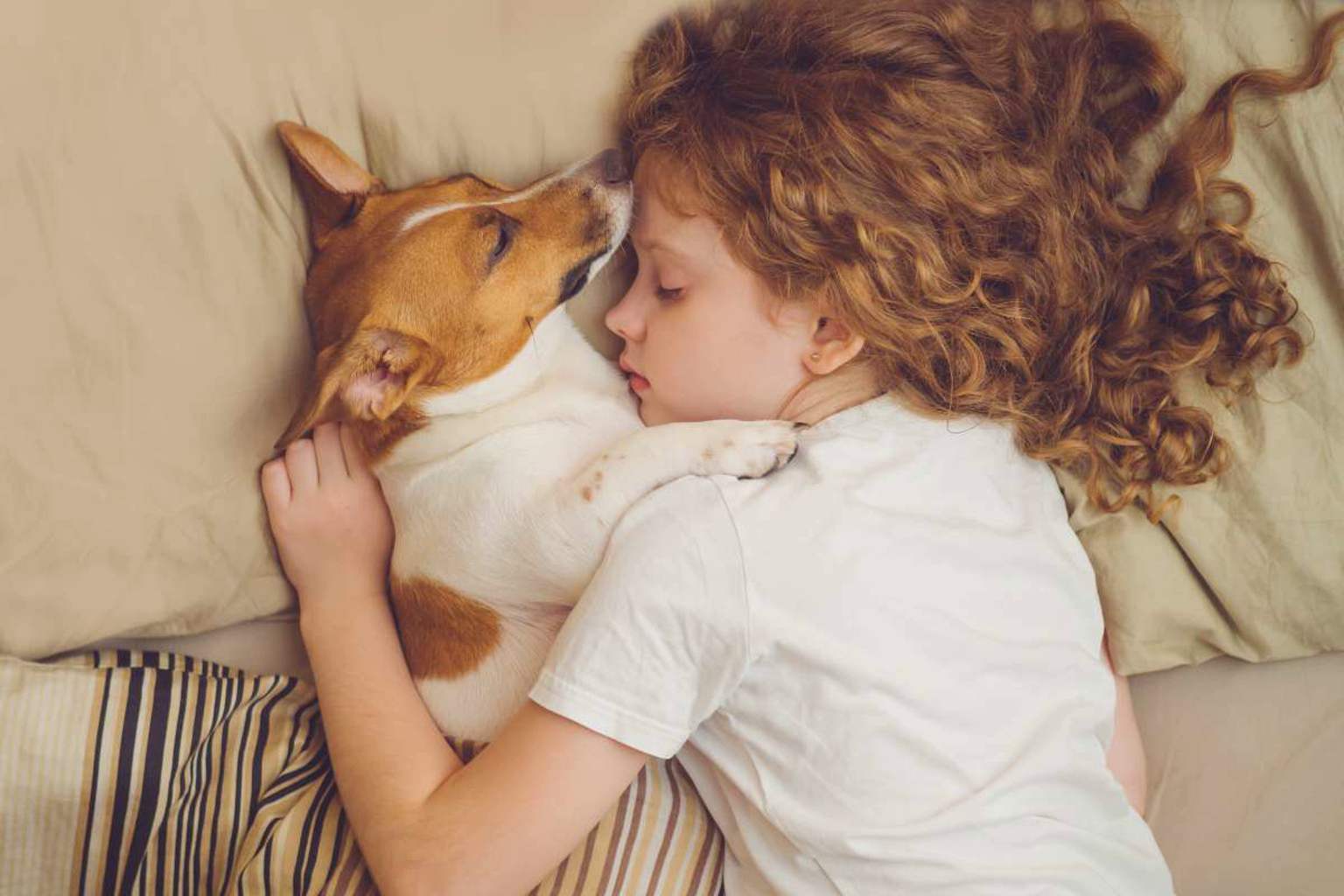 Why your dog chooses to sleep on your pillow and what it means