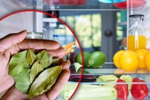 A bay leaf in the fridge? This underrated grandma hack might change how you store food forever