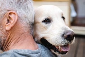Forget dogs and birds—this is the ideal stress-relieving pet for seniors over 65