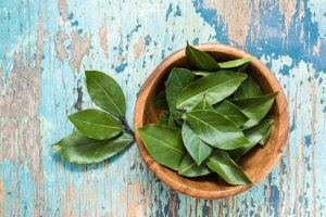 Forget rosemary and sage: placing a bay leaf by your door is the ritual wellness experts swear by