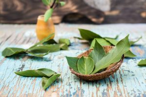 “I have no more moths”: a single bay leaf in my closet changed everything