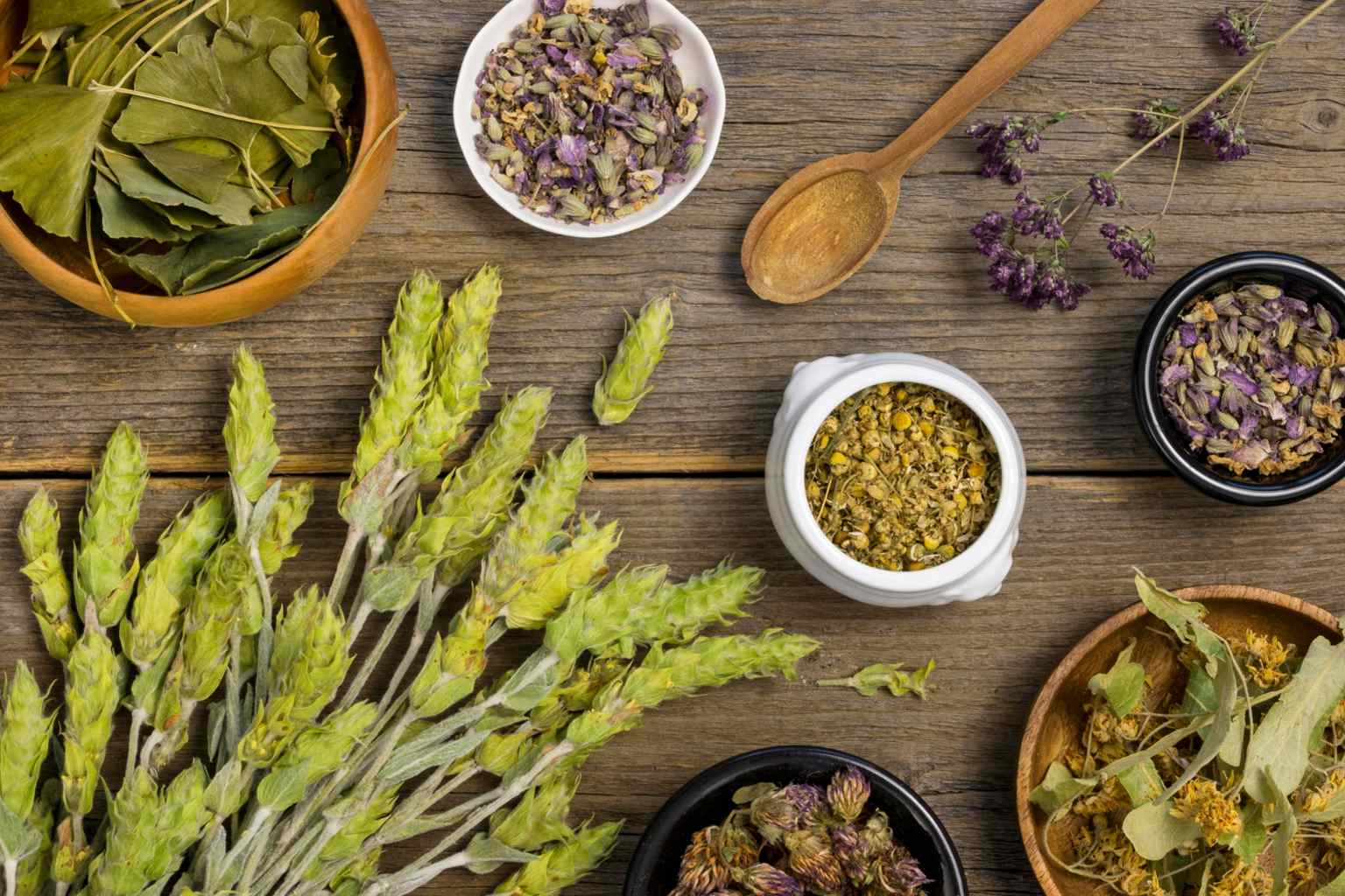 Neither a damp cloth nor the refrigerator: the grandmother’s trick to keep fresh herbs for weeks—“they always had the same color and taste.”