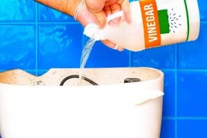 Pouring vinegar into your toilet tank once a month is essential—here’s why