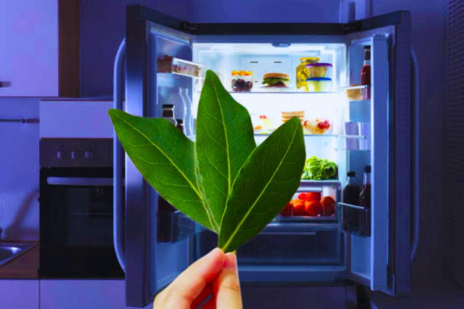 The bay leaf trick in the fridge is surprisingly powerful—our grandmothers already used it