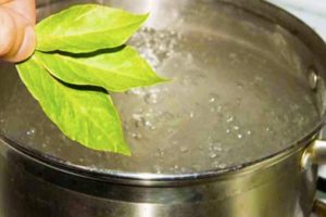 The surprising benefits of boiling bay leaves at home that can transform your daily life