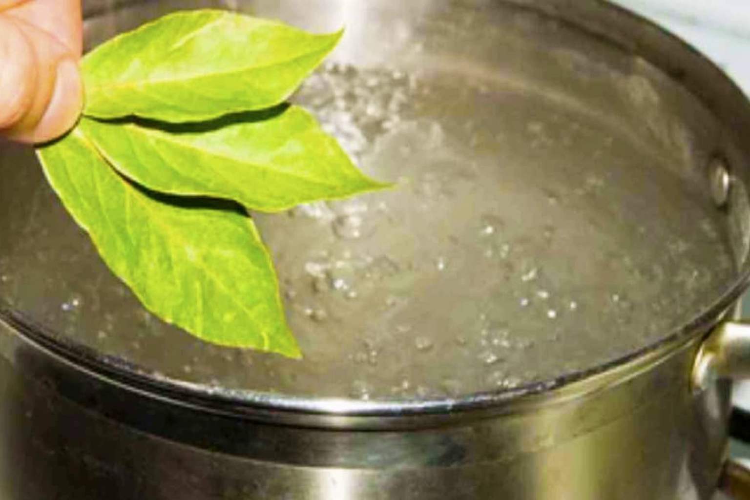 The surprising benefits of boiling bay leaves at home that can transform your daily life