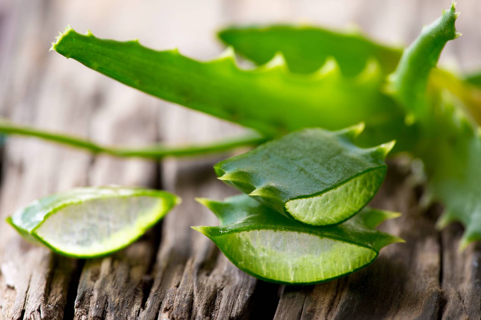 Why aloe vera is a game changer for your face and the best ways to use it