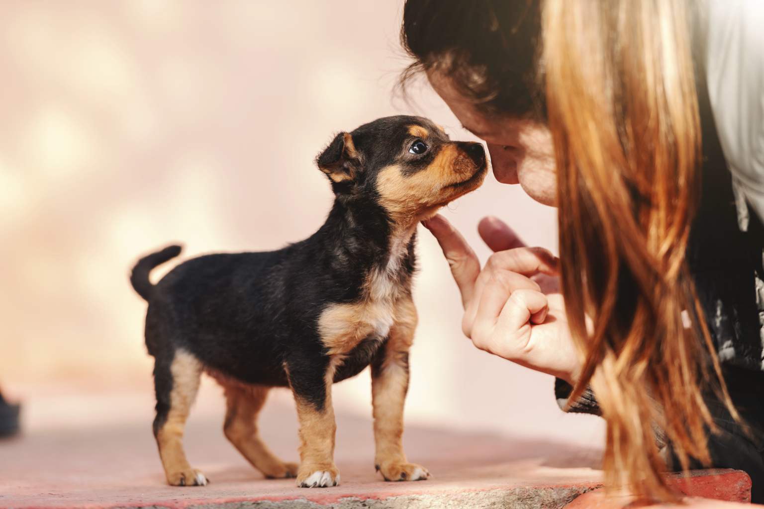 Do you talk to your dog too? Here’s how it affects both your health and well-being